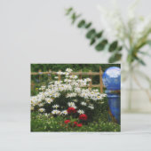 Carte Postale Jardin de Shasta (Debout devant)
