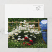 Carte Postale Jardin de Shasta (Devant / Derrière)