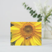 Carte Postale Jardin de Sunflower (Debout devant)