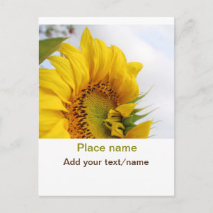 Carte Postale jardin de tournesols jaunes ajouter photo texte no