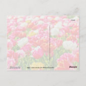 Carte Postale Jardin de Tulip (Dos)