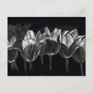 Carte Postale Jardin de Tulipe Noire Blanc Fleur Patchboard Art