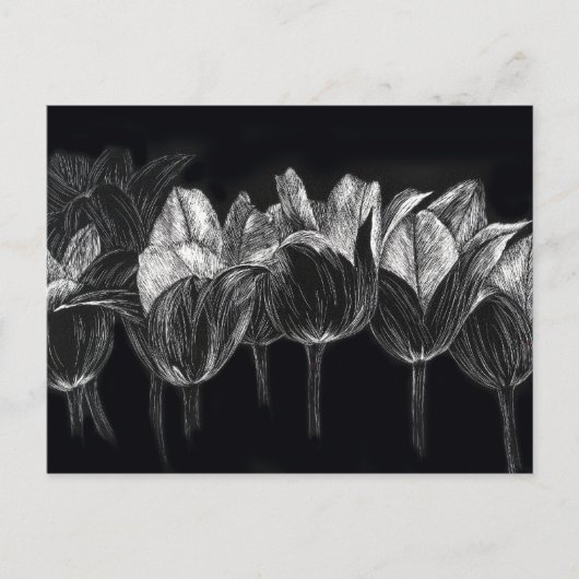 Carte Postale Jardin de Tulipe Noire Blanc Fleur Patchboard Art (Devant)