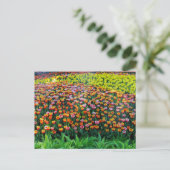 Carte Postale Jardin de tulipes (Debout devant)