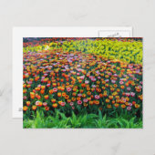 Carte Postale Jardin de tulipes (Devant / Derrière)
