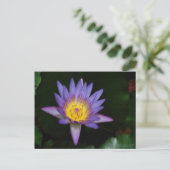 Carte Postale jardin d'eden (Debout devant)