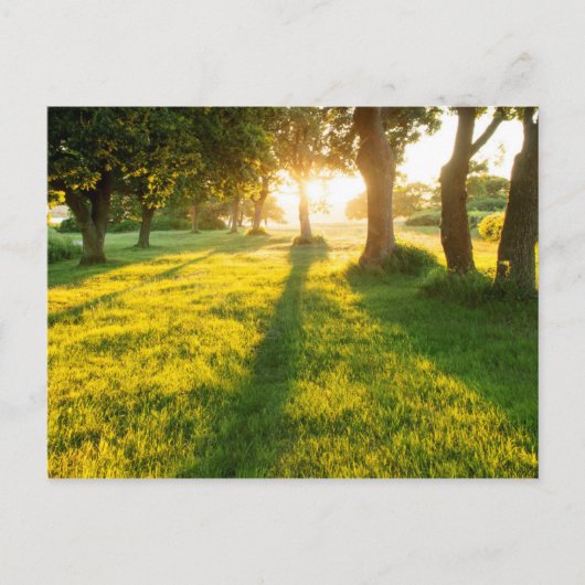 Carte Postale Jardin Des Chênes D'Eden (Devant)
