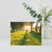 Carte Postale Jardin Des Chênes D'Eden (Debout devant)