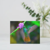 Carte Postale Jardin des colibris (Debout devant)