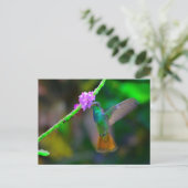 Carte Postale Jardin des colibris (Debout devant)