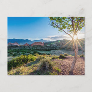 Carte Postale Jardin Des Dieux Arbre Sunburst