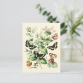 Carte Postale Jardin des papillons et des fleurs (Debout devant)