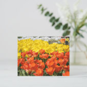 Carte Postale Jardin des Tulipes (Debout devant)