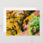 Carte Postale Jardin des Zen (Devant / Derrière)