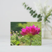 Carte Postale Jardin d'été (Debout devant)