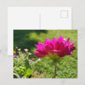 Carte Postale Jardin d'été (Devant / Derrière)