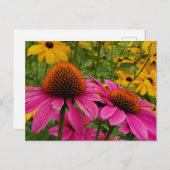 Carte Postale Jardin d'été (Devant / Derrière)