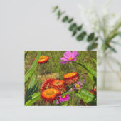 Carte Postale Jardin d'été (Debout devant)