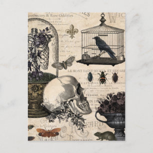 Carte Postale Jardin d'Halloween Vintage