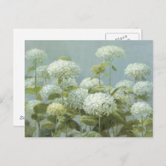 Carte Postale Jardin d'Hydrangea blanc (Devant / Derrière)