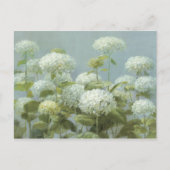 Carte Postale Jardin d'Hydrangea blanc (Devant)