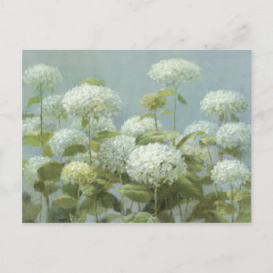 Carte Postale Jardin d'Hydrangea blanc