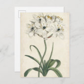 Carte Postale Jardin d'ivoire (Devant / Derrière)