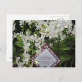 Carte Postale Jardin d'orchidées "Princesse Diana",Singapour (Devant / Derrière)