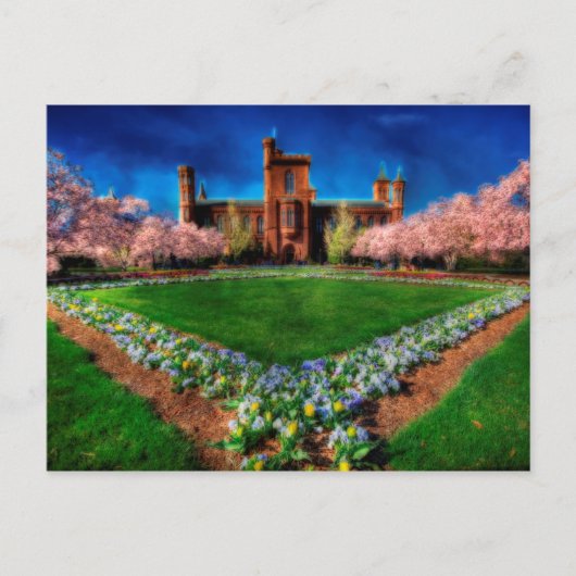 Carte Postale Jardin du château de Smithsonian Les fleurs de cer (Devant)