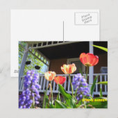 CARTE POSTALE JARDIN DU PRINTEMPS (Devant / Derrière)