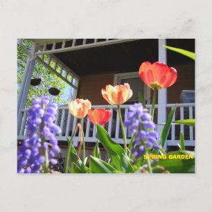 CARTE POSTALE JARDIN DU PRINTEMPS