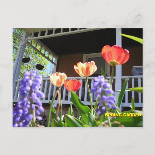 CARTE POSTALE JARDIN DU PRINTEMPS (Devant)