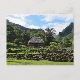 Carte Postale Jardin du Taro à Limahuli Garden, Kauai