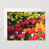 Carte Postale Jardin ensoleillé (Devant / Derrière)