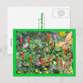 Carte Postale Jardin fantastique (Devant / Derrière)