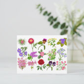 Carte postale Jardin Fleur (Debout devant)