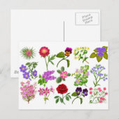 Carte postale Jardin Fleur (Devant / Derrière)