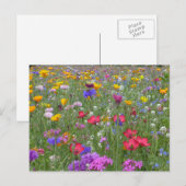 Carte Postale Jardin fleuri (Devant / Derrière)