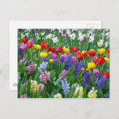 Carte Postale Jardin fleuri coloré (Devant / Derrière)