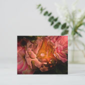 Carte Postale Jardin Fleurs No 40 Version couleur (Debout devant)