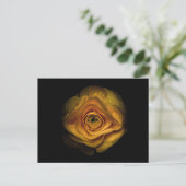 Carte Postale Jardin Fleurs No 74 Version couleur (Debout devant)