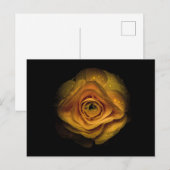 Carte Postale Jardin Fleurs No 74 Version couleur (Devant / Derrière)