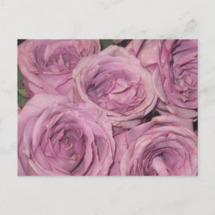 Carte Postale Jardin Floral