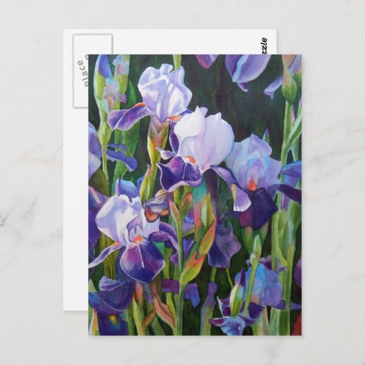 Carte Postale Jardin Flower Iris (Devant / Derrière)
