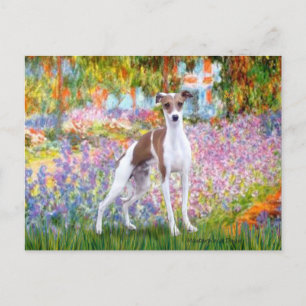 Carte Postale Jardin - Greyhound italien 7