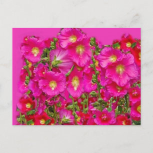 Carte Postale Jardin Hollyhocks Rose Par SHARLES