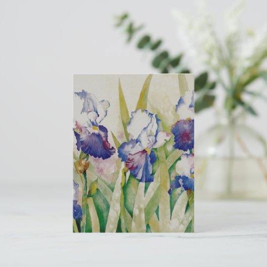 Carte Postale jardin iris 2 (Debout devant)