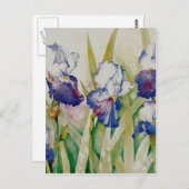 Carte Postale jardin iris 2 (Devant / Derrière)