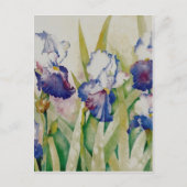 Carte Postale jardin iris 2 (Devant)