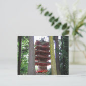 Carte Postale Jardin japonais de thé (Debout devant)